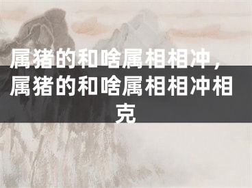 属猪的和啥属相相冲,属猪的和啥属相相冲相克