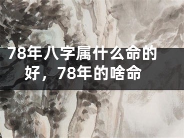 78年八字属什么命的好,78年的啥命