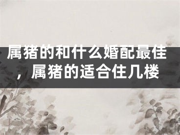 属猪的和什么婚配最佳,属猪的适合住几楼