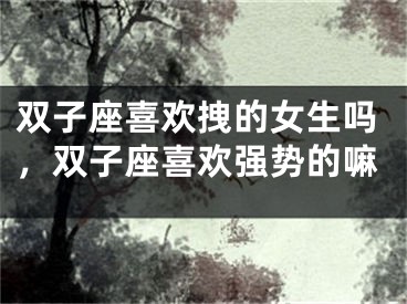 双子座喜欢拽的女生吗,双子座喜欢强势的嘛