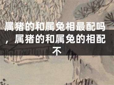 属猪的和属兔相最配吗,属猪的和属兔的相配不