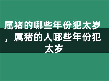 属猪的哪些年份犯太岁,属猪的人哪些年份犯太岁