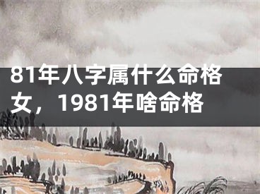 81年八字属什么命格女，1981年啥命格