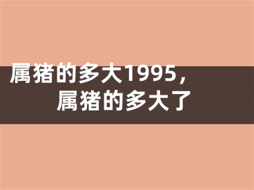 属猪的多大1995,属猪的多大了