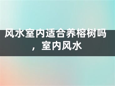 风水室内适合养榕树吗,室内风水