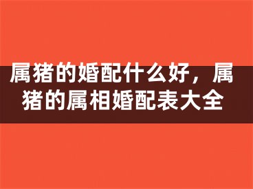 属猪的婚配什么好,属猪的属相婚配表大全