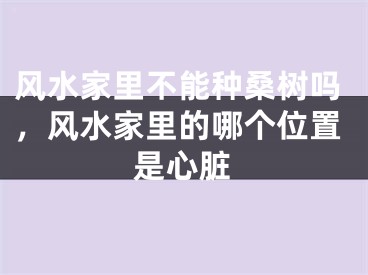 风水家里不能种桑树吗,风水家里的哪个位置是心脏