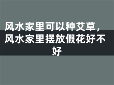 风水家里可以种艾草，风水家里摆放假花好不好