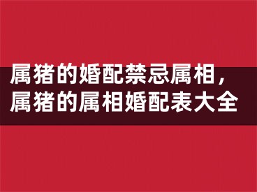 属猪的婚配禁忌属相,属猪的属相婚配表大全