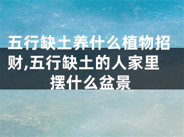 五行缺土养什么植物招财,五行缺土的人家里摆什么盆景