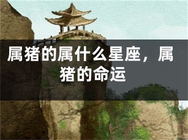 属猪的属什么星座,属猪的命运