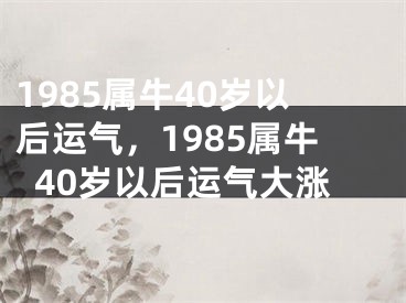 1985属牛40岁以后运气，1985属牛40岁以后运气大涨