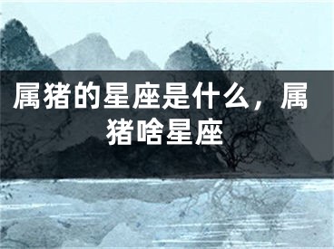 属猪的星座是什么,属猪啥星座