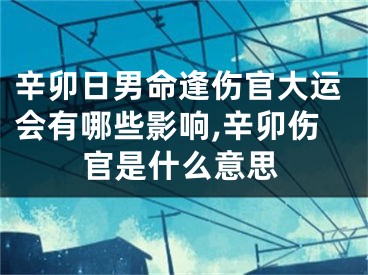辛卯日男命逢伤官大运会有哪些影响,辛卯伤官是什么意思