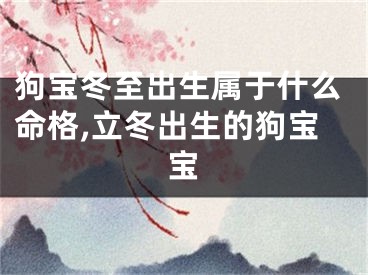 狗宝冬至出生属于什么命格,立冬出生的狗宝宝