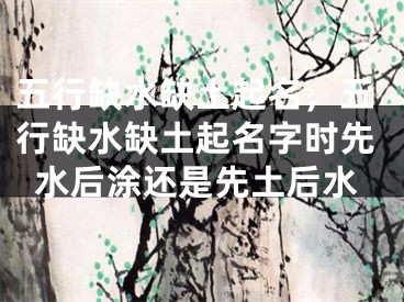 五行缺水缺土起名,五行缺水缺土起名字时先水后涂还是先土后水