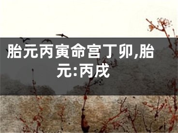 胎元丙寅命宫丁卯,胎元:丙戌