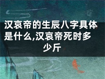 汉哀帝的生辰八字具体是什么,汉哀帝死时多少斤