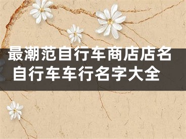 最潮范自行车商店店名 自行车车行名字大全