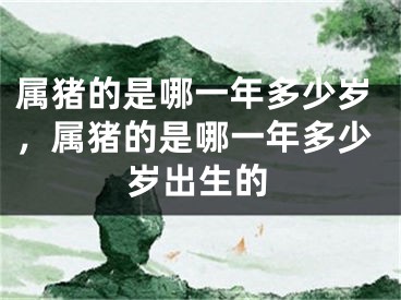 属猪的是哪一年多少岁,属猪的是哪一年多少岁出生的