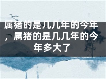 属猪的是几几年的今年,属猪的是几几年的今年多大了
