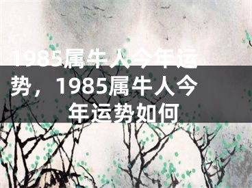 1985属牛人今年运势,1985属牛人今年运势如何