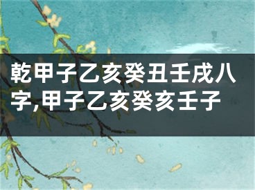 乾甲子乙亥癸丑壬戌八字,甲子乙亥癸亥壬子