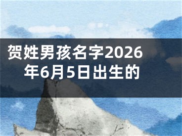贺姓男孩名字2026年6月5日出生的