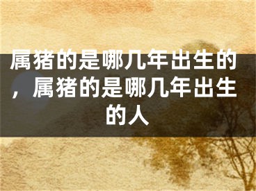 属猪的是哪几年出生的,属猪的是哪几年出生的人
