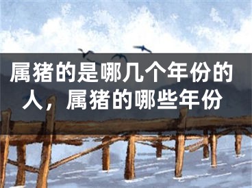 属猪的是哪几个年份的人,属猪的哪些年份