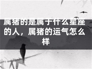 属猪的是属于什么星座的人,属猪的运气怎么样