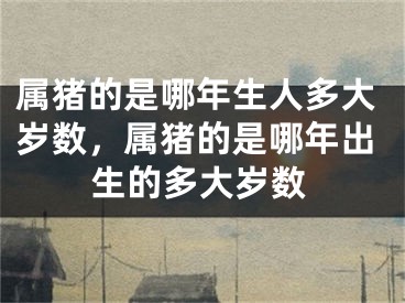 属猪的是哪年生人多大岁数,属猪的是哪年出生的多大岁数
