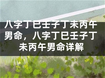 八字丁巳壬子丁未丙午男命，八字丁巳壬子丁未丙午男命详解