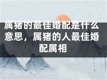 属猪的最佳婚配是什么意思,属猪的人最佳婚配属相