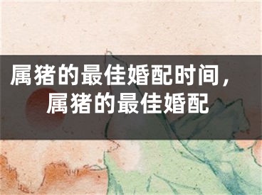属猪的最佳婚配时间,属猪的最佳婚配