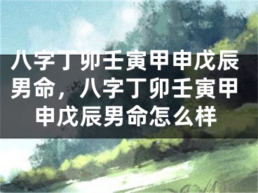 八字丁卯壬寅甲申戊辰男命，八字丁卯壬寅甲申戊辰男命怎么样