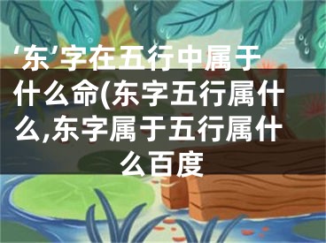 ‘东’字在五行中属于什么命(东字五行属什么,东字属于五行属什么百度
