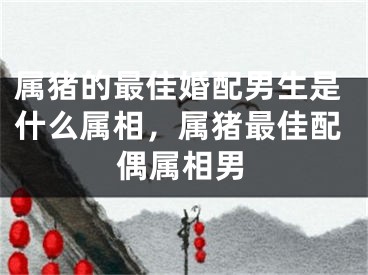 属猪的最佳婚配男生是什么属相,属猪最佳配偶属相男
