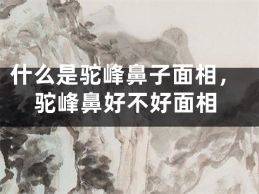 什么是驼峰鼻子面相，驼峰鼻好不好面相