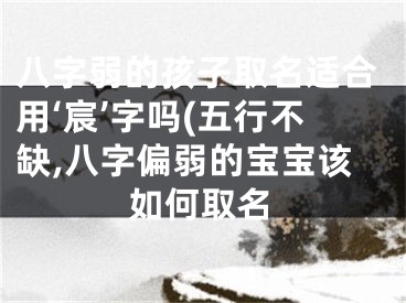 八字弱的孩子取名适合用‘宸’字吗(五行不缺,八字偏弱的宝宝该如何取名