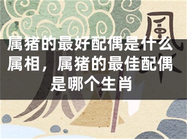 属猪的最好配偶是什么属相,属猪的最佳配偶是哪个生肖