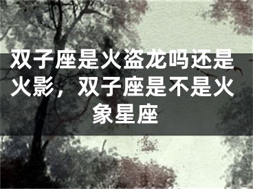双子座是火盗龙吗还是火影,双子座是不是火象星座