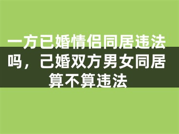 一方已婚情侣同居违法吗，己婚双方男女同居算不算违法