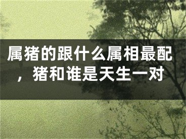 属猪的跟什么属相最配，猪和谁是天生一对
