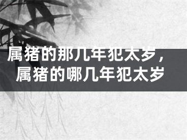 属猪的那几年犯太岁,属猪的哪几年犯太岁