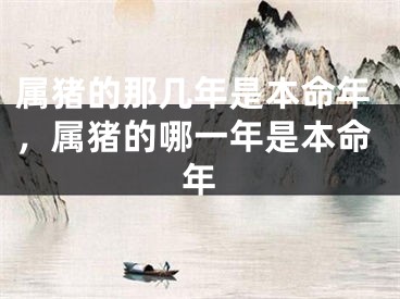 属猪的那几年是本命年,属猪的哪一年是本命年