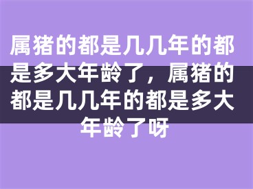 属猪的都是几几年的都是多大年龄了，属猪的都是几几年的都是多大年龄了呀