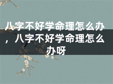 八字不好学命理怎么办,八字不好学命理怎么办呀