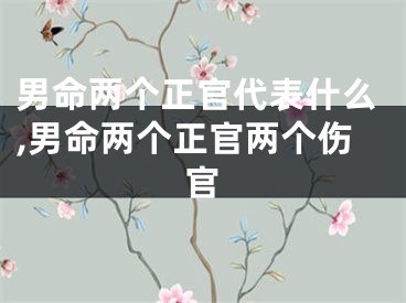 男命两个正官代表什么,男命两个正官两个伤官
