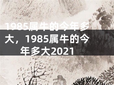 1985属牛的今年多大，1985属牛的今年多大2021